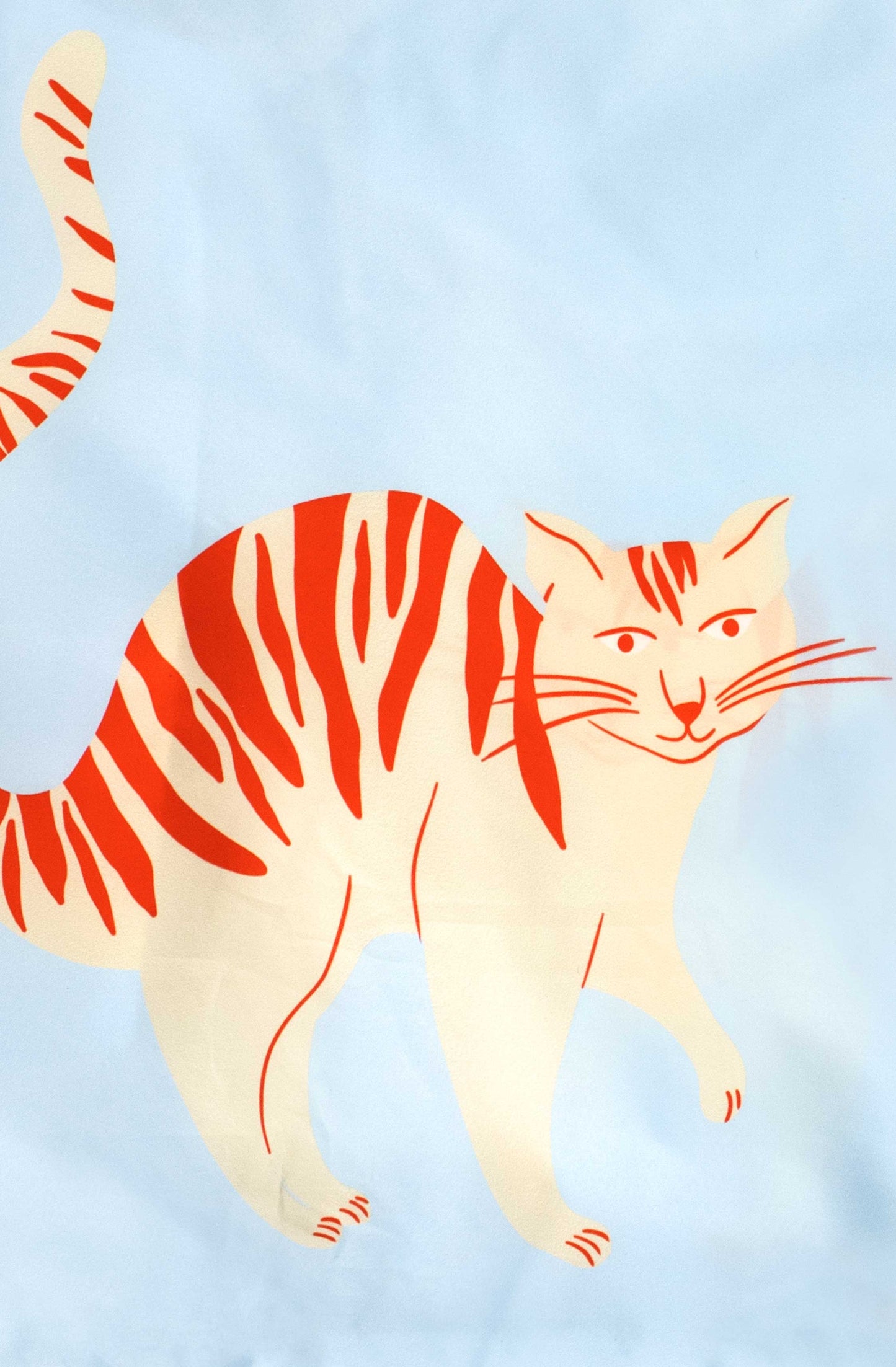 Cat | Medium Reusable Bag