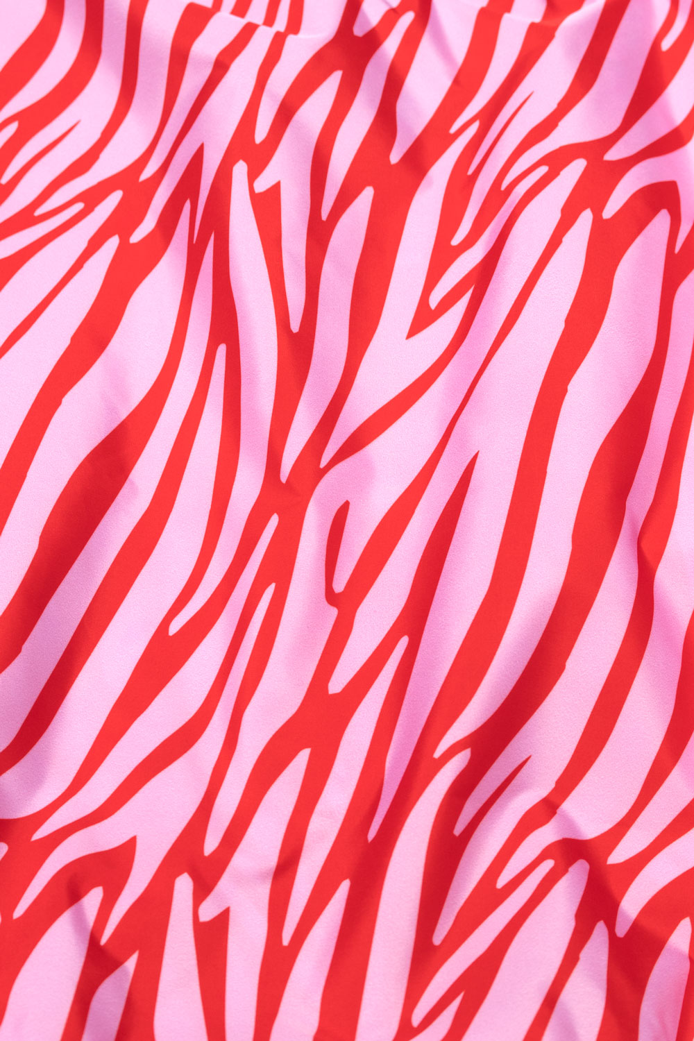 Zebra | Medium Reusable Bag